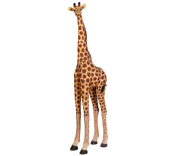 Tall Giraffe 2.3m